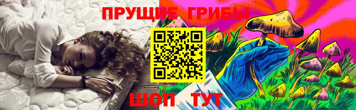 Псилоцибиновые грибы Psilocybine cubensis  Галлюциногенные грибы мухоморы  Вход с VPN  Курган 